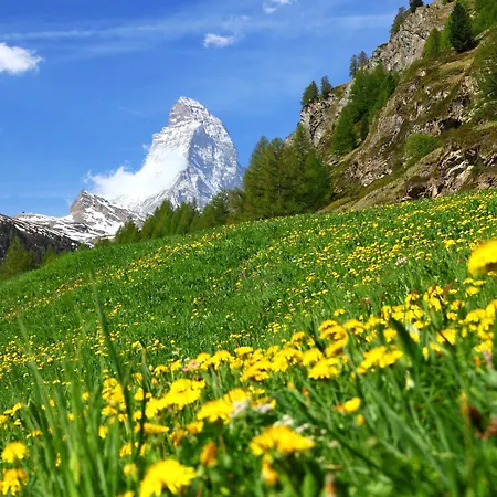 Alpesi faház Alsuki Bellevue C By Interhome Zermatt